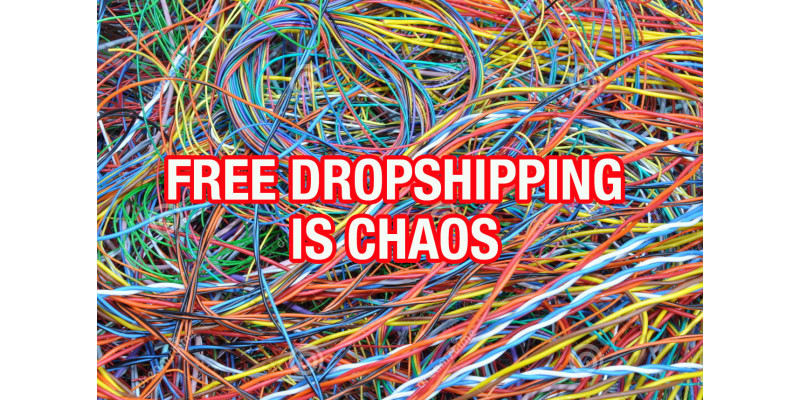 7 Reasons Why You Should Never Choose a Free Dropshipping Provider?